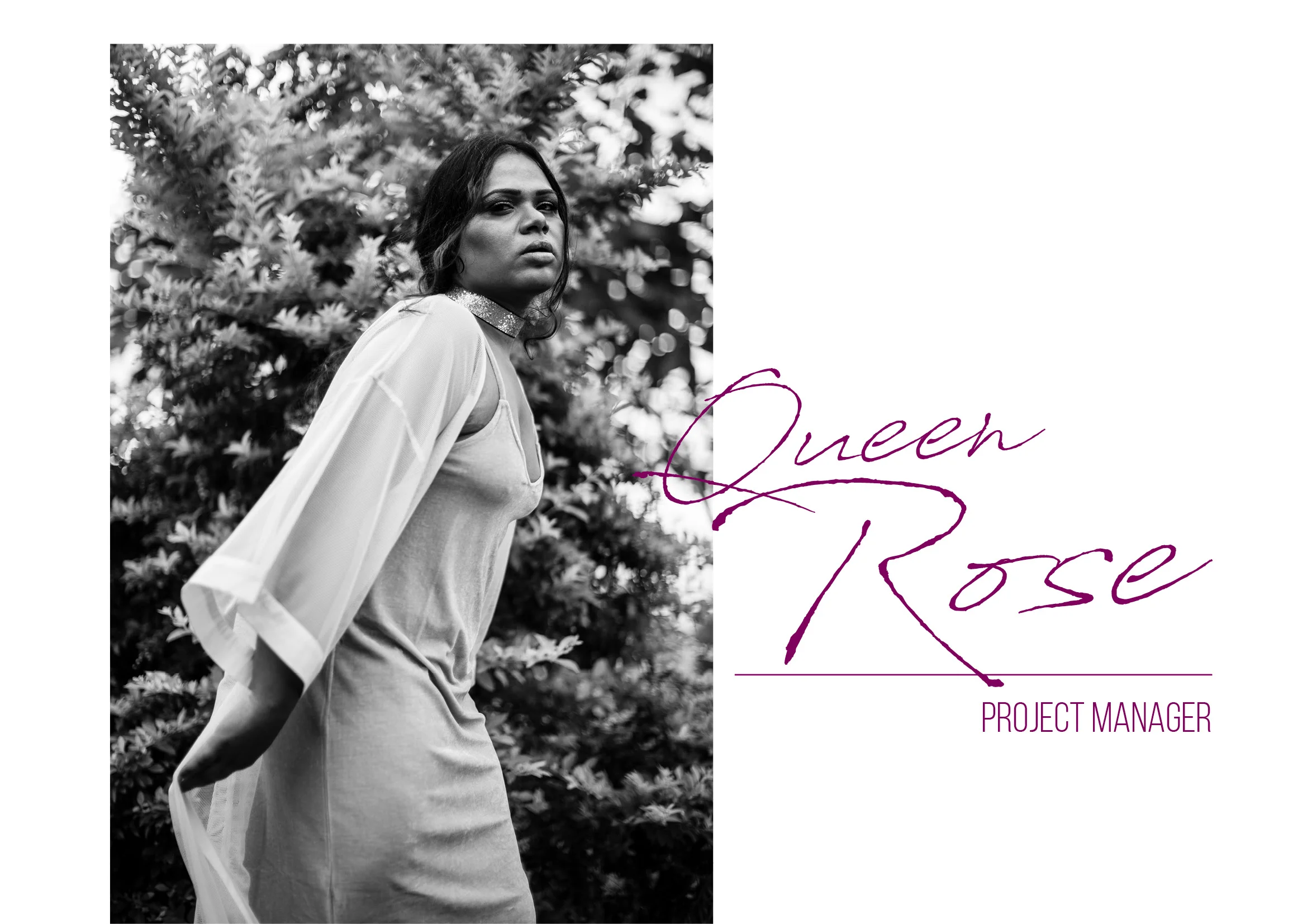 Many Queens14.jpg