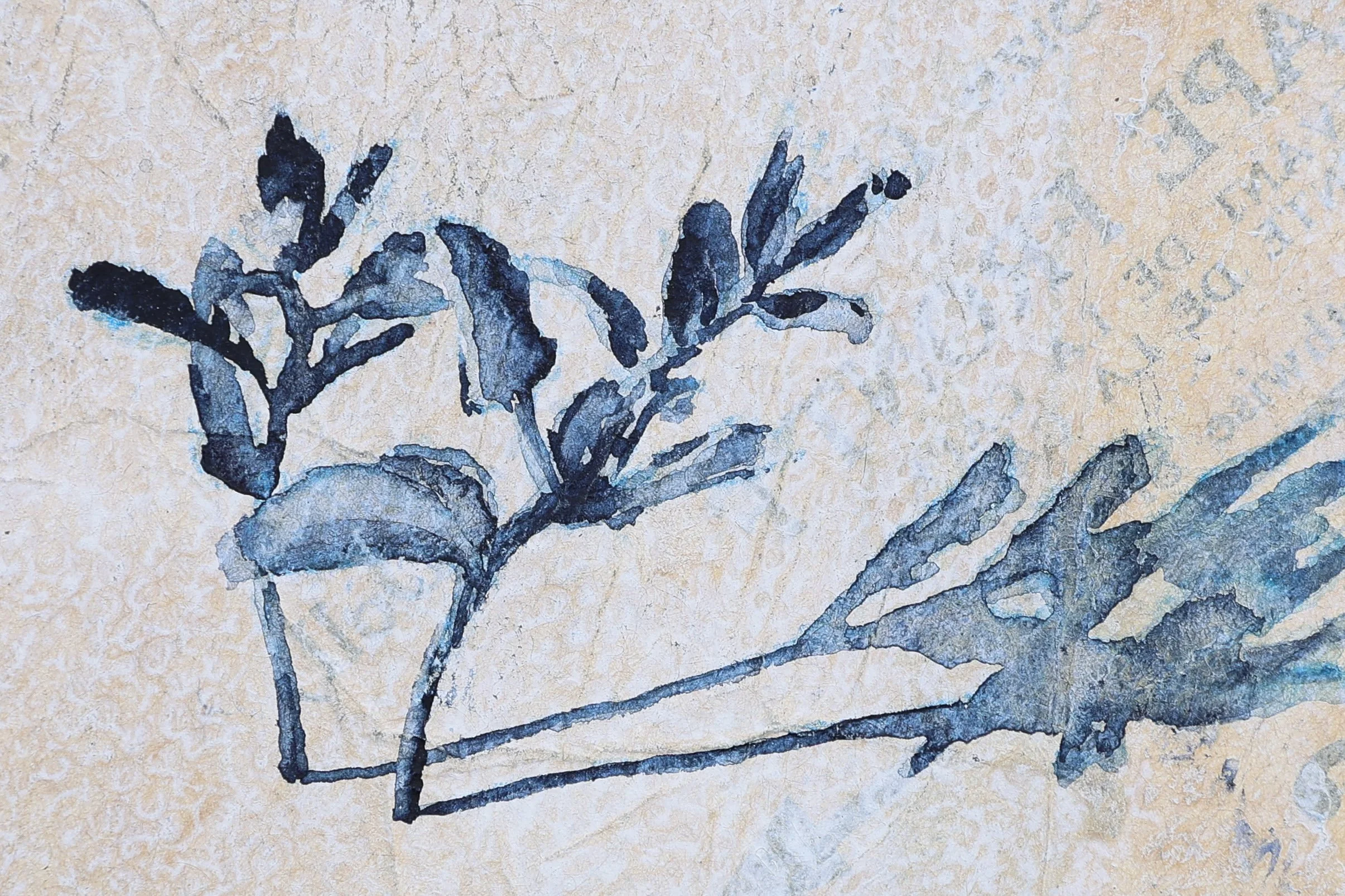 JN1A2025.JPG