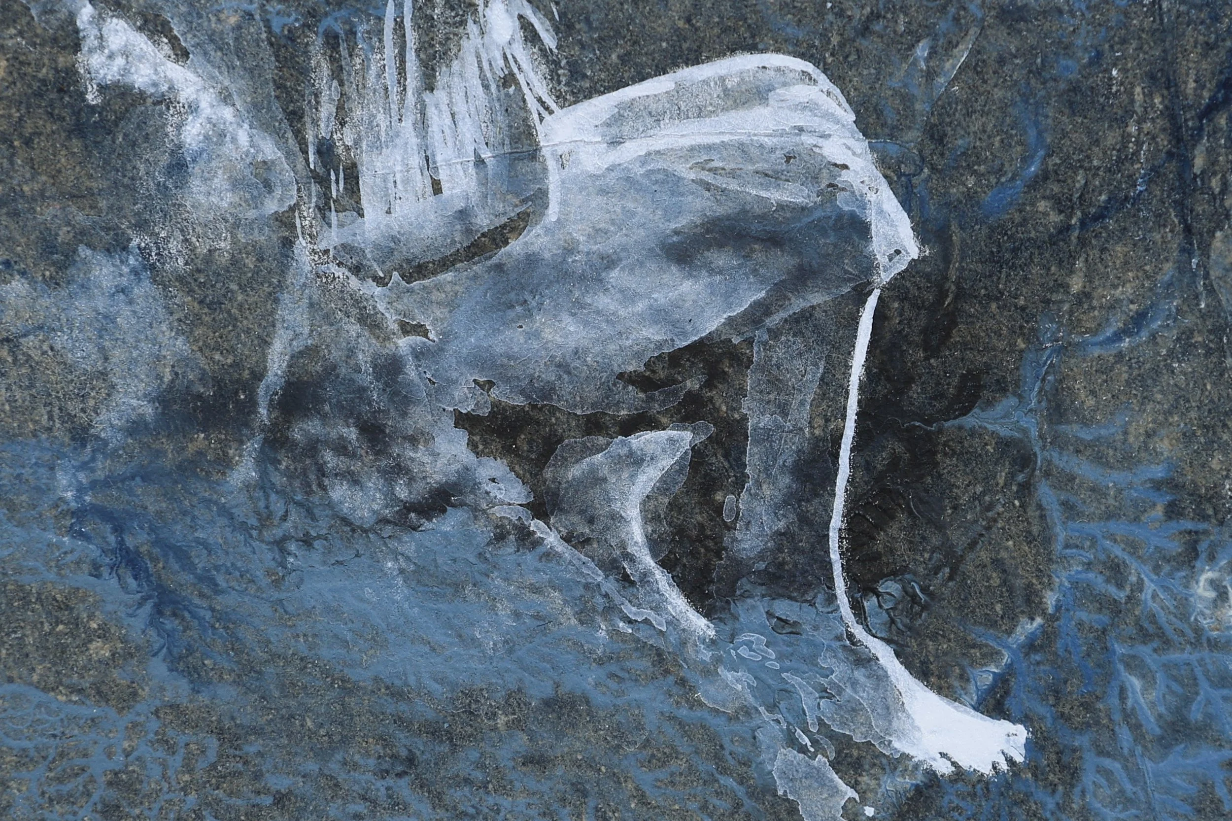 JN1A2055.JPG