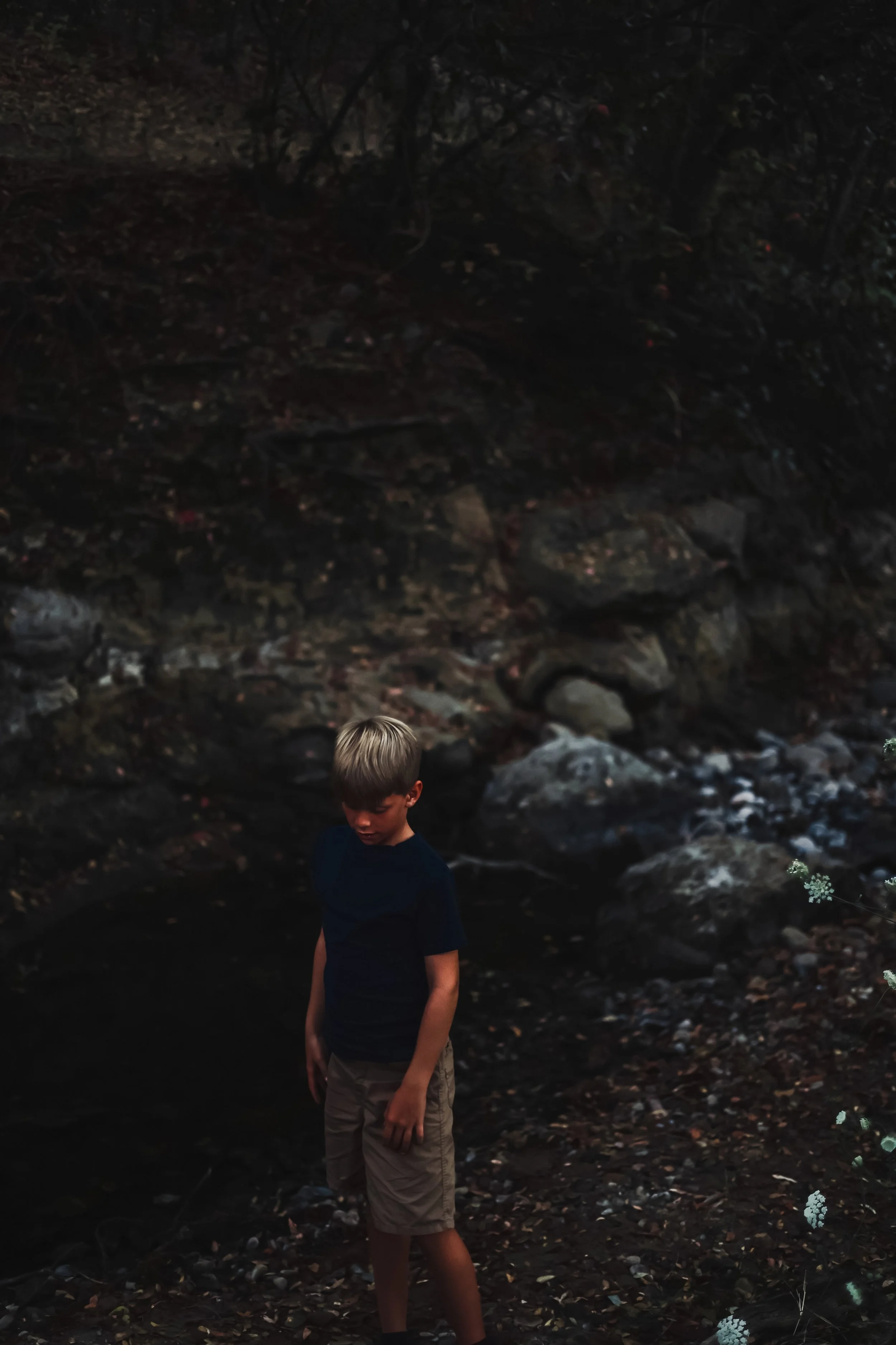 Gowen_Mary_Canyon Study.jpg