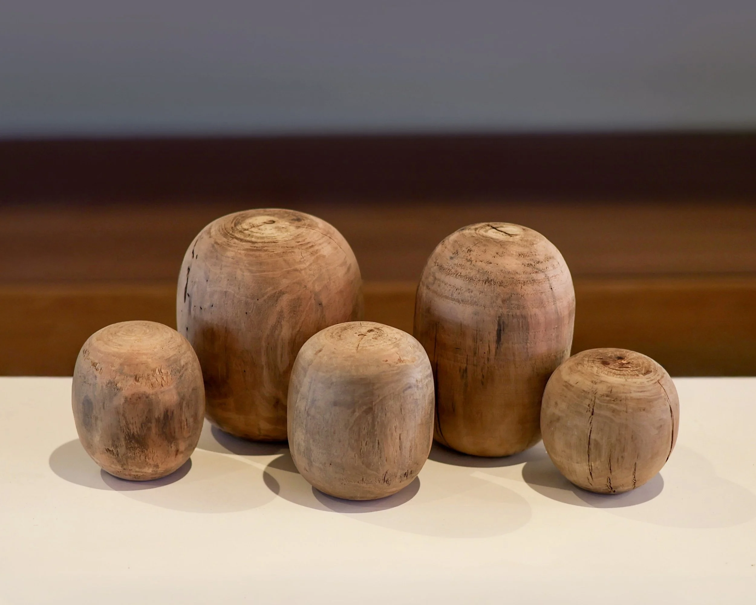 JN1A3613 (2)-8x10.jpg