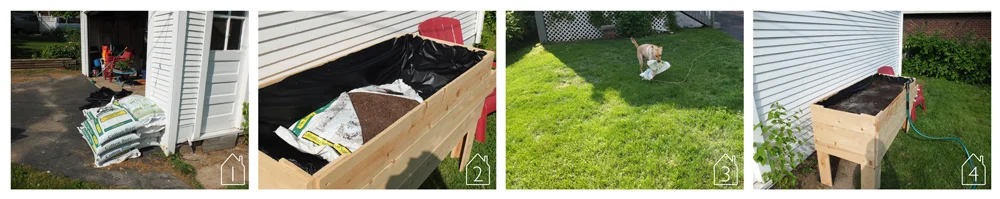 Note: Having your dog steal the empty soil bag is not an official step of the process.
