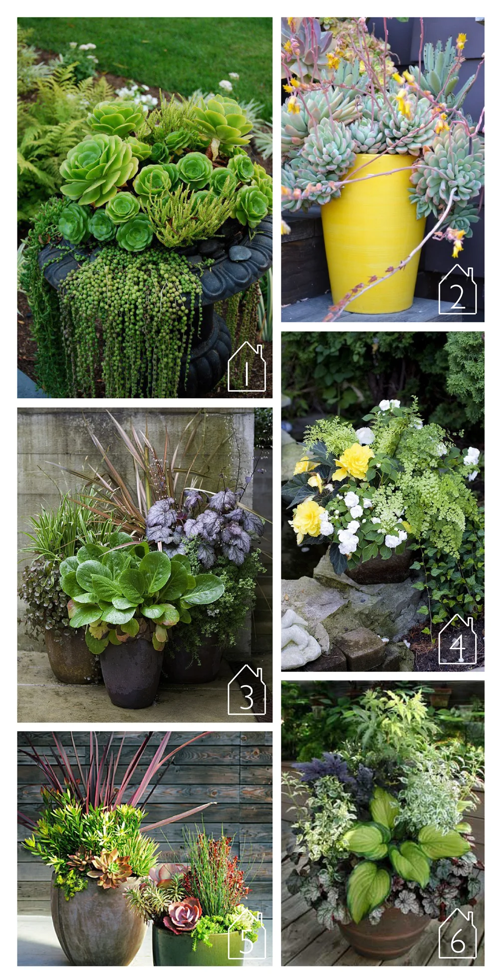 1. Urn with chicks, hens and pearls via ABC das Suculentas 2. Yellow echeveria flowers with succulents via Potted 3. This collection of perennials via Houzz 4. Shade container via Gorgeous Flowers, Garden and Love 5. These plum-colored foliage arrangements via Sunset 6. Hosta Container via Shady Oaks