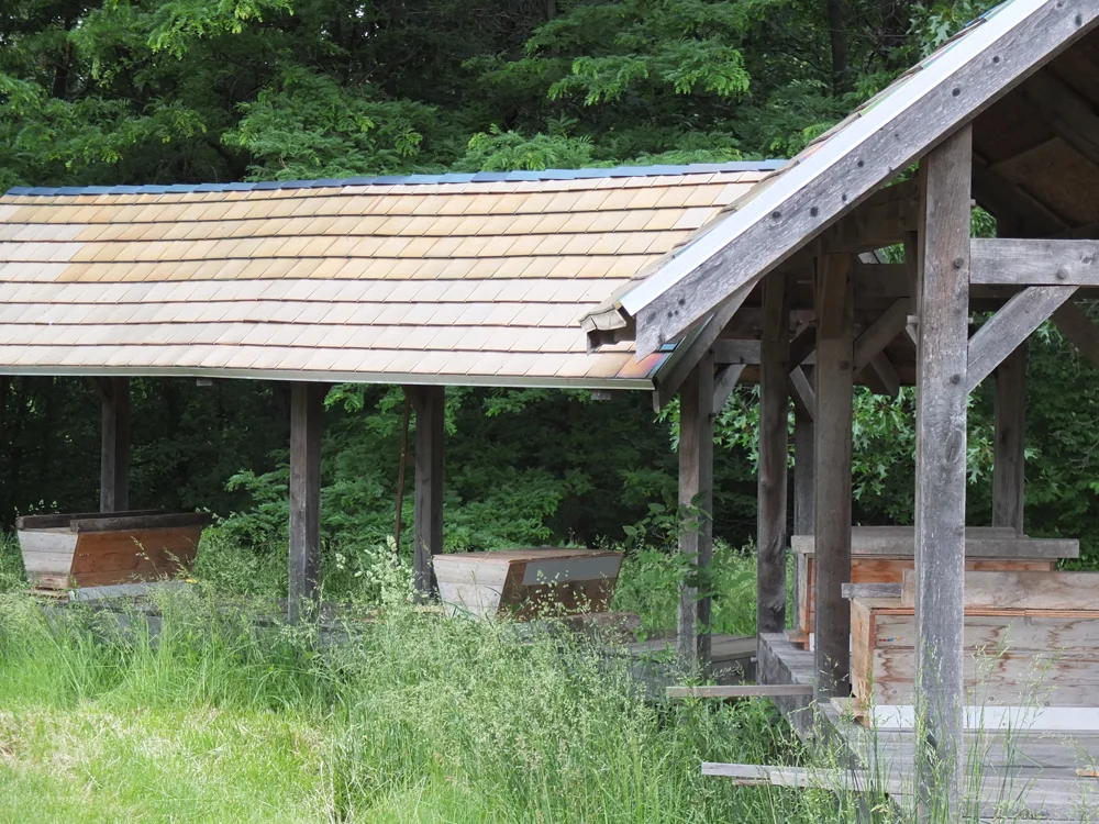 Beehives-LiveSpringsFarm.jpg