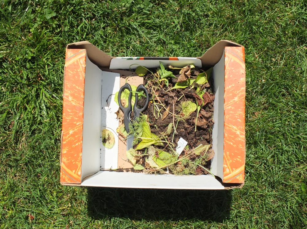 Garden-Maintenance-02.jpg