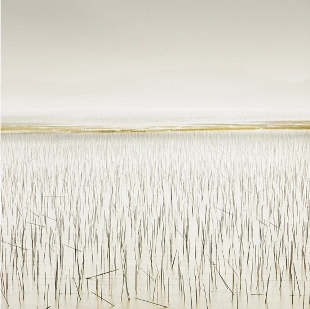 David Burdeny, archival pigment print, 2011 via Jennifer Kostuik Gallery