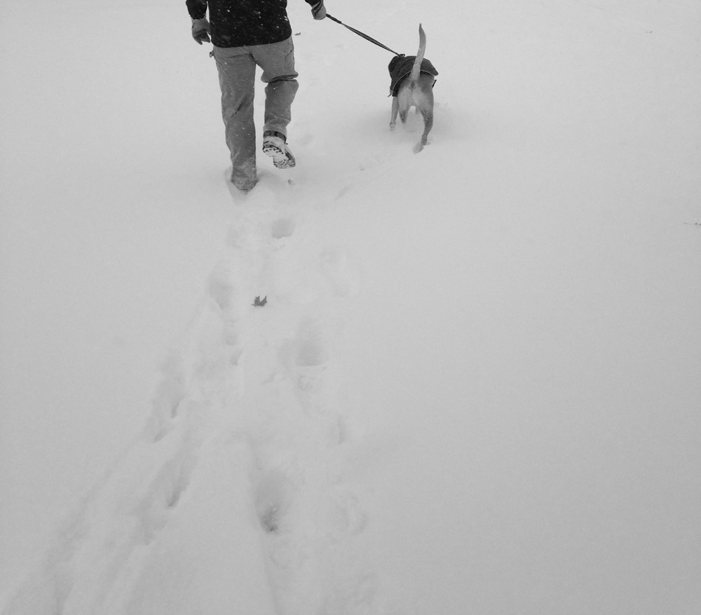 Snow-1.jpg