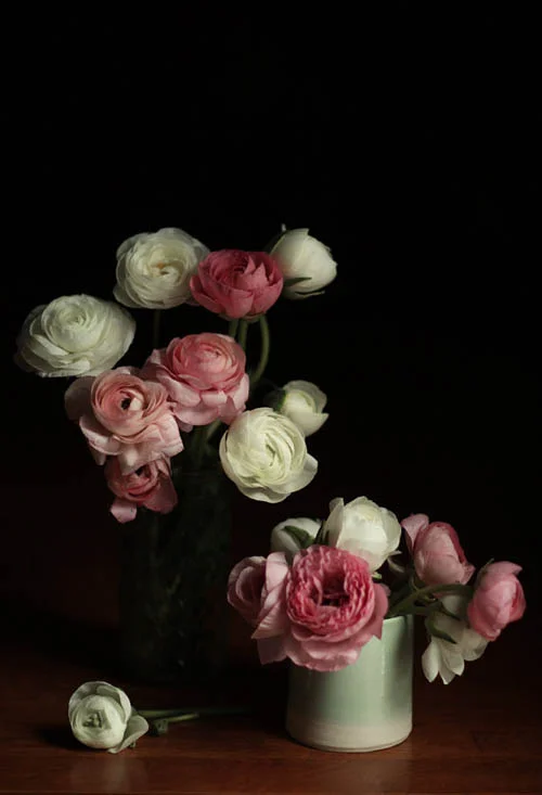 LucySnowe-Ranunculus.jpg
