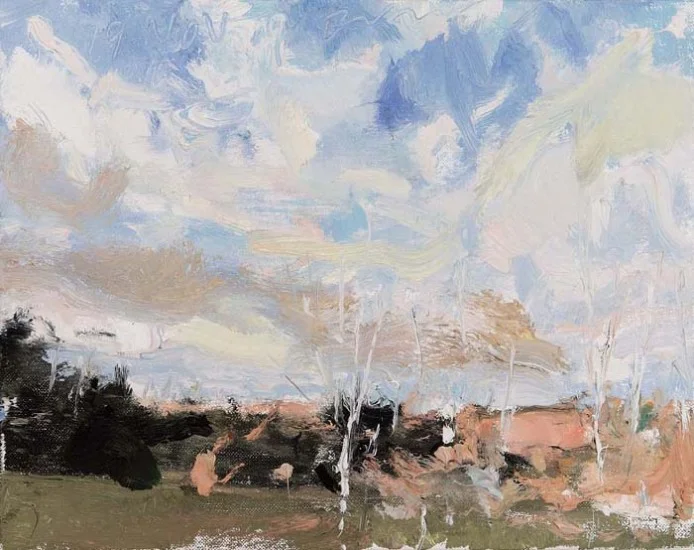 EricAho-Nov9Sky.jpg