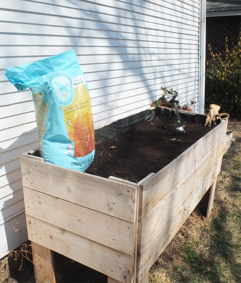 our spring garden — THE PLACE HOME