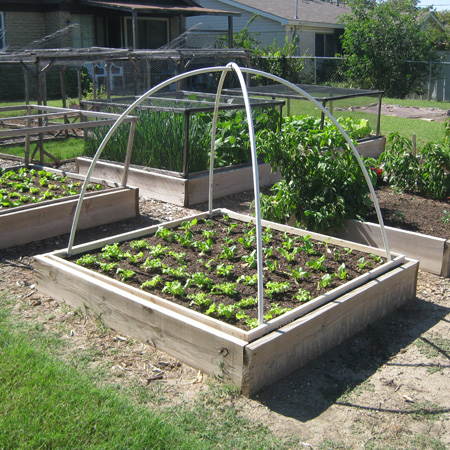 Garden-PVC-Hoop.jpg