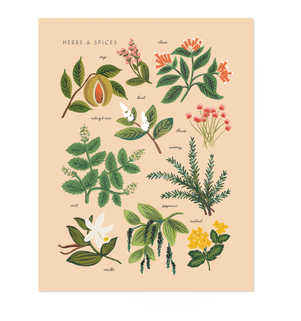 Herbs & Spices by Rifle Paper Co.