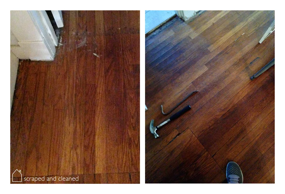 scraped-cleaned-hardwood.jpg