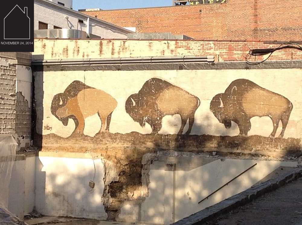 buffalo mural via Folk Fibers pinterest