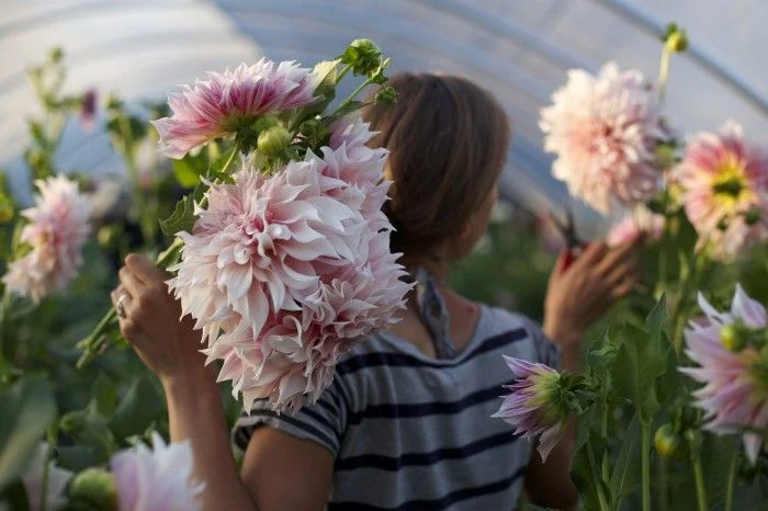 garden-pinners-floret-farm-2.jpg