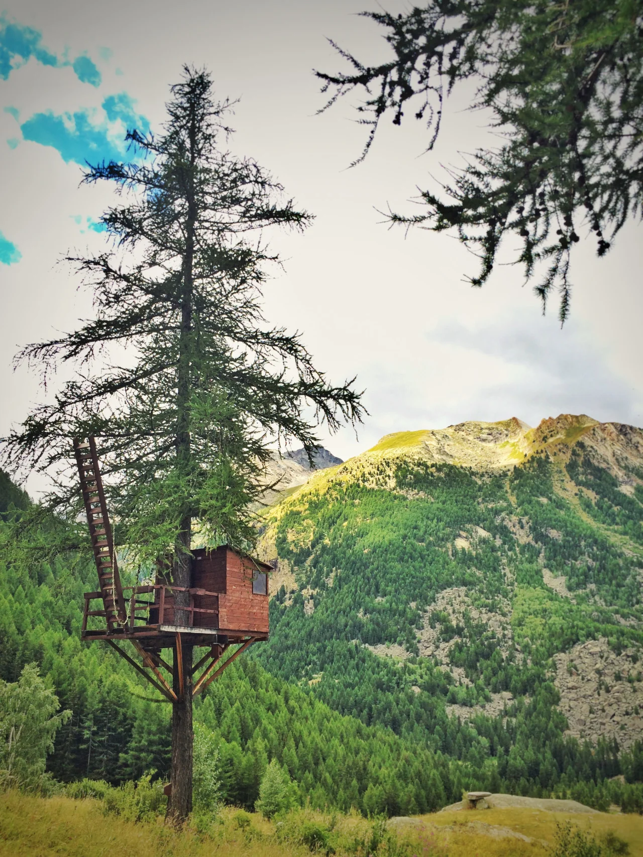 Treehouse in Gran Paradiso National Park near Cogne, Aosta, Italy