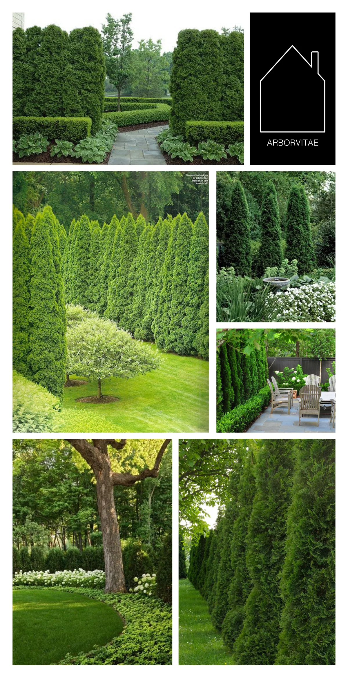 from top left - design by Land Architects via Houzz - via Quintessence - design by Zachary Duff via Atlanta Homes & Lifestyles - design by Falkner Gardens - via Bungalow Blue Interiors - via The Tree Center | THE PLACE HOME