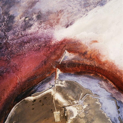 artist feature: david maisel october 23, 2013