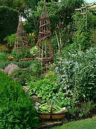 planning an herb garden | 3.23.2016