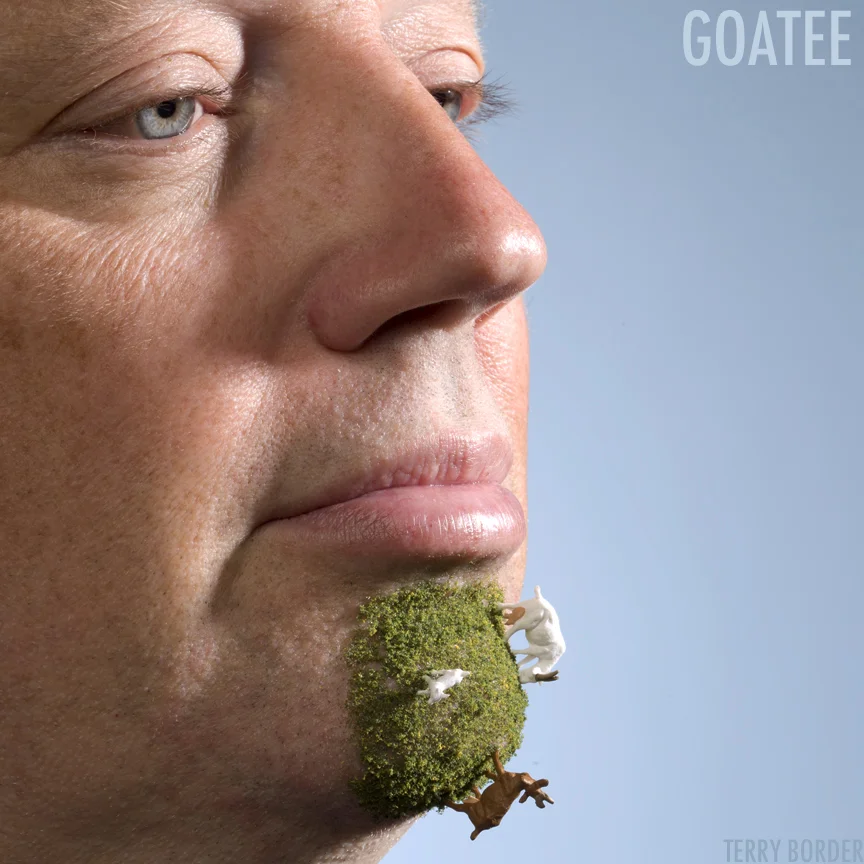 goatee copy.jpg