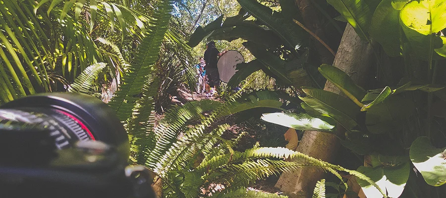 Cool little jungle in the hills of Laguna beach