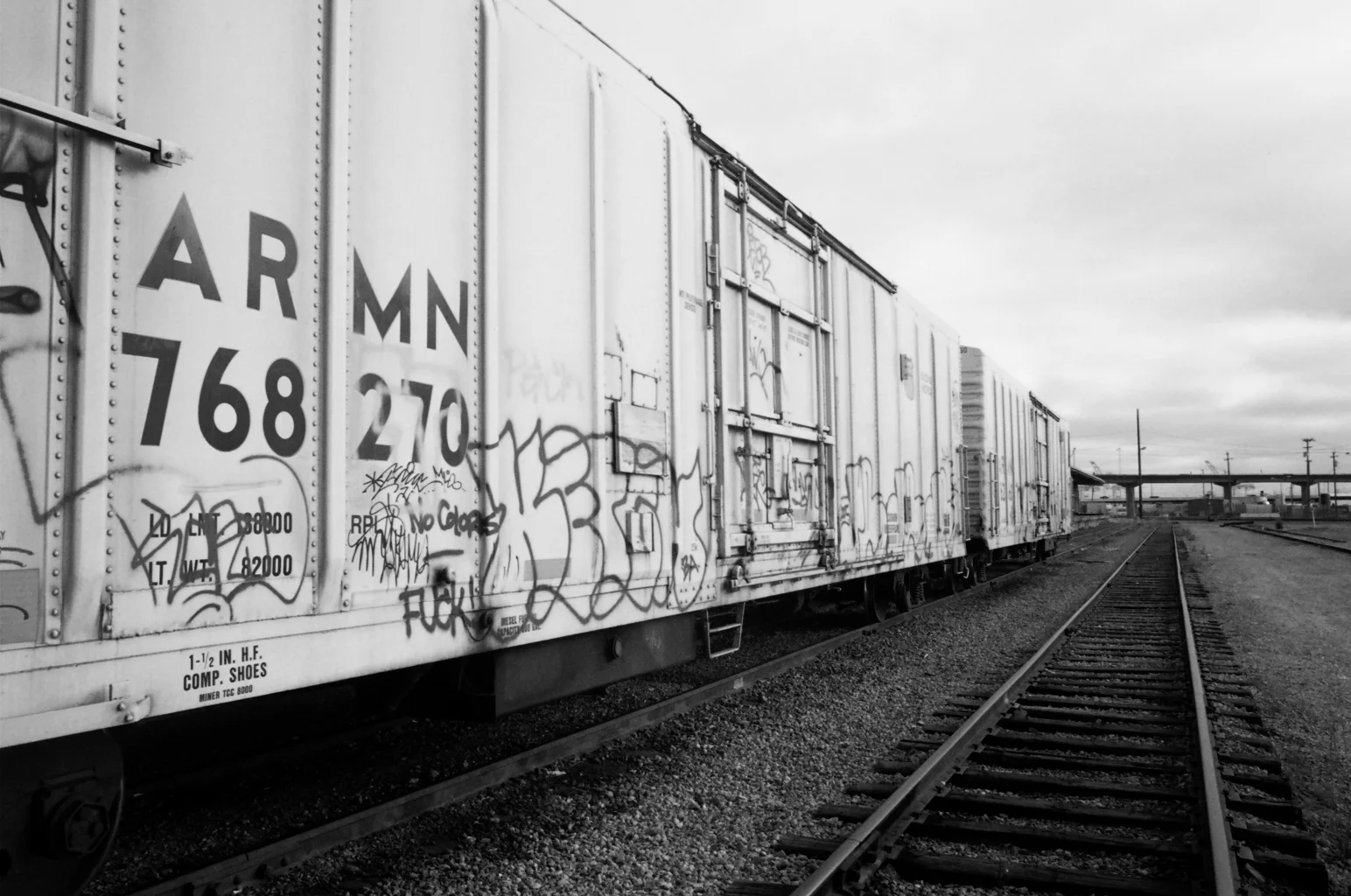 57950018.JPG