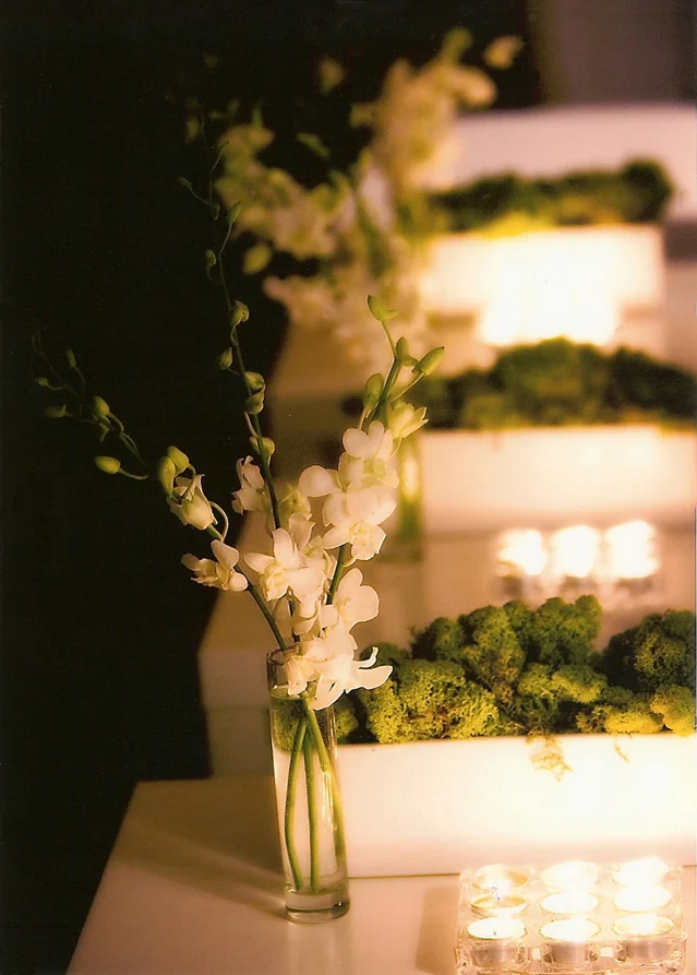 Osterwise Wedding_1.jpg