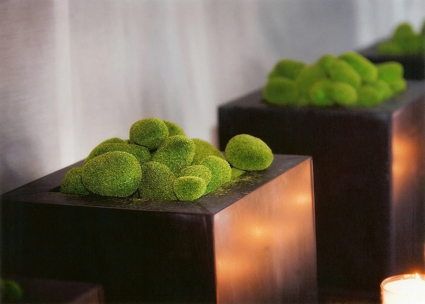 Wedding_moss.jpg