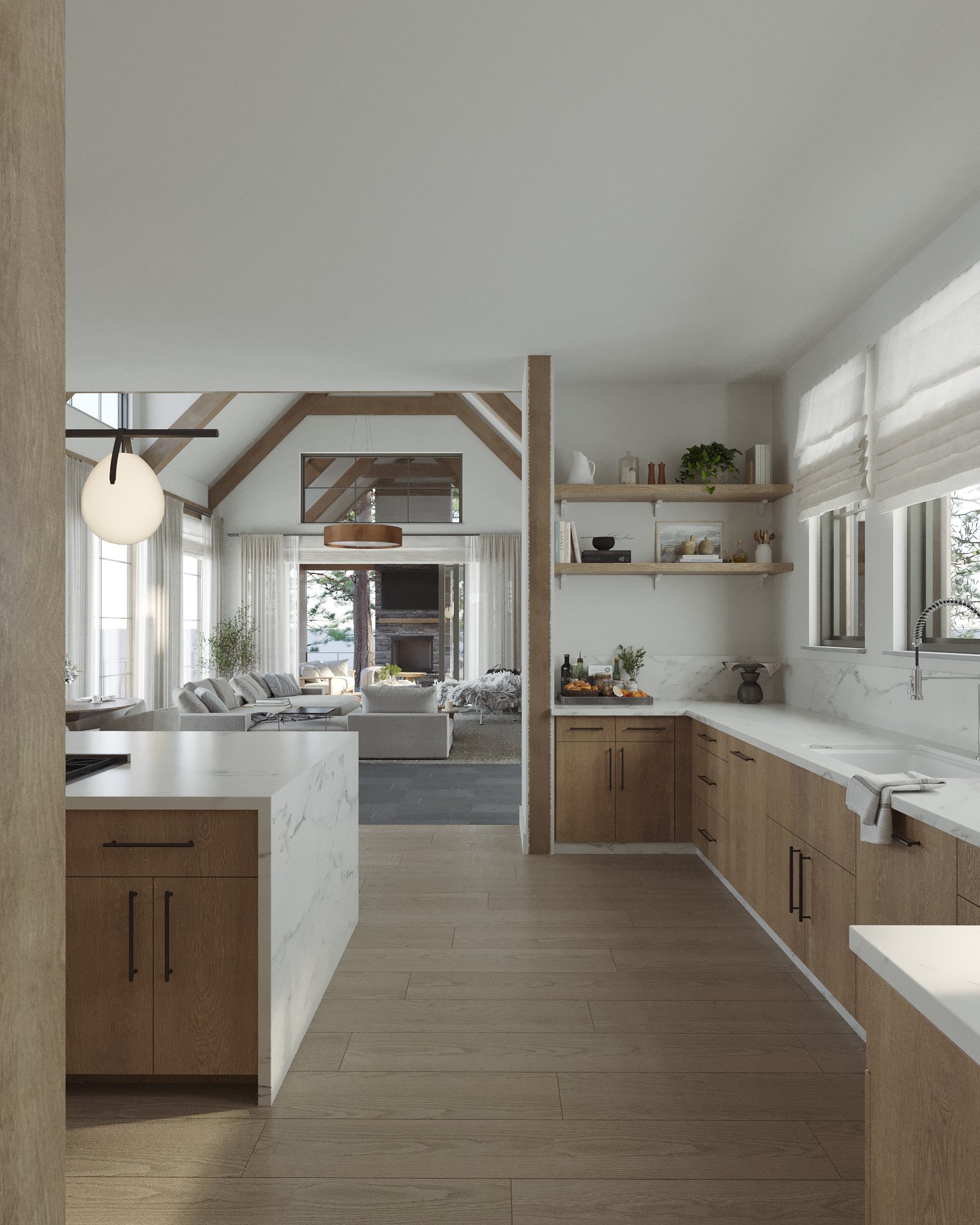 HOGAN_TOXAWAY HOUSE 02_Kitchen_13.jpg