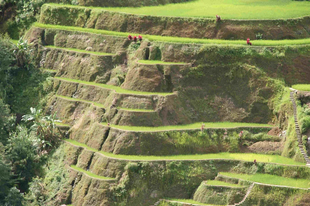 Banaue rice terrace – Philippines. by Agricmarketing