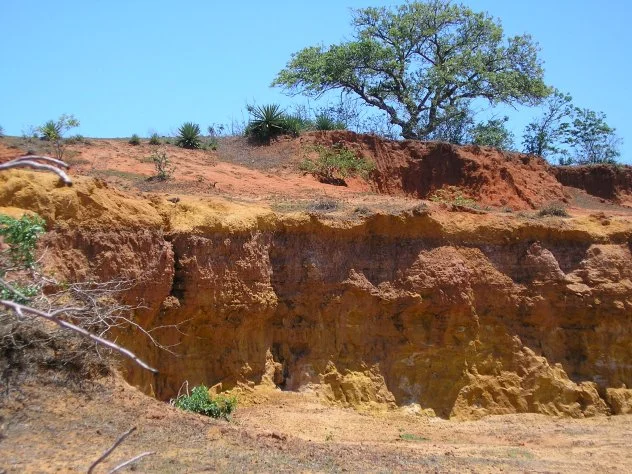 Lateritic soil with concentrated aluminum ore formed by weathering