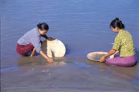 Panning for alluvial gold in the Irrawaddy, Myanmar.