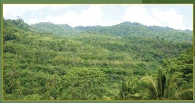 Minahasa, Indonesia