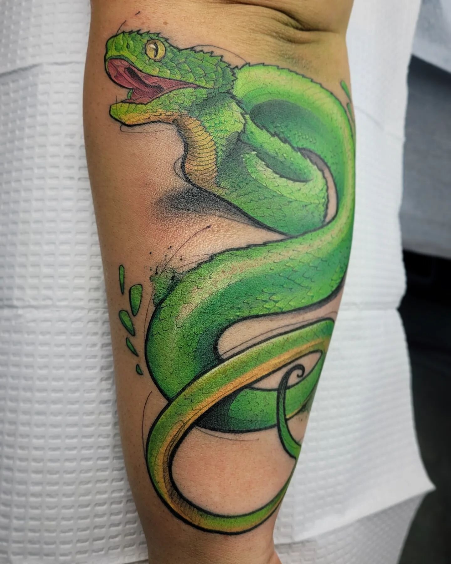 🐍 DANGER NOODLE 🐍
.
Spiny Bush Viper for Riley! One shot! Thanks for looking! 
.
.
.
.
.
.
.
.
.
#tattoos #tattoo #art #spinybushviper #snake #snaketattoo #transformation #love #igtattoo #daily #watercolortattoo