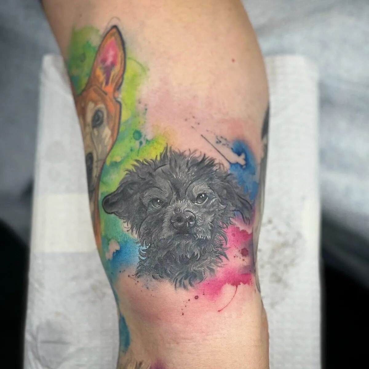 MINI DOG PORTRAIT!!! This is actually one of the last parts of a full sleeve of my clients rescues. It's been a really fulfilling project. 
Anyway, this is about as mini as my pet portraits will get! 😁I had a lot of fun tattooing this little wirey p