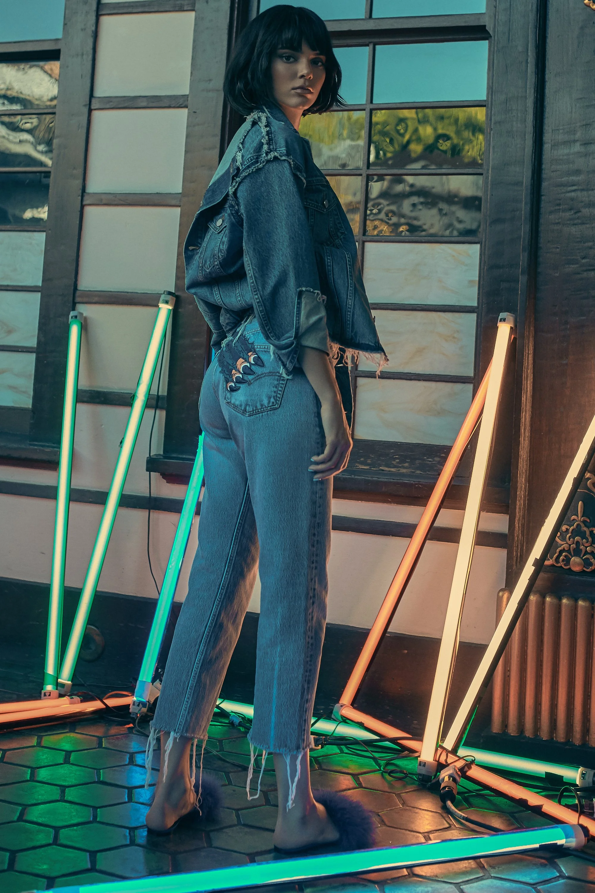 Kendall_Vintage_Denim.jpg