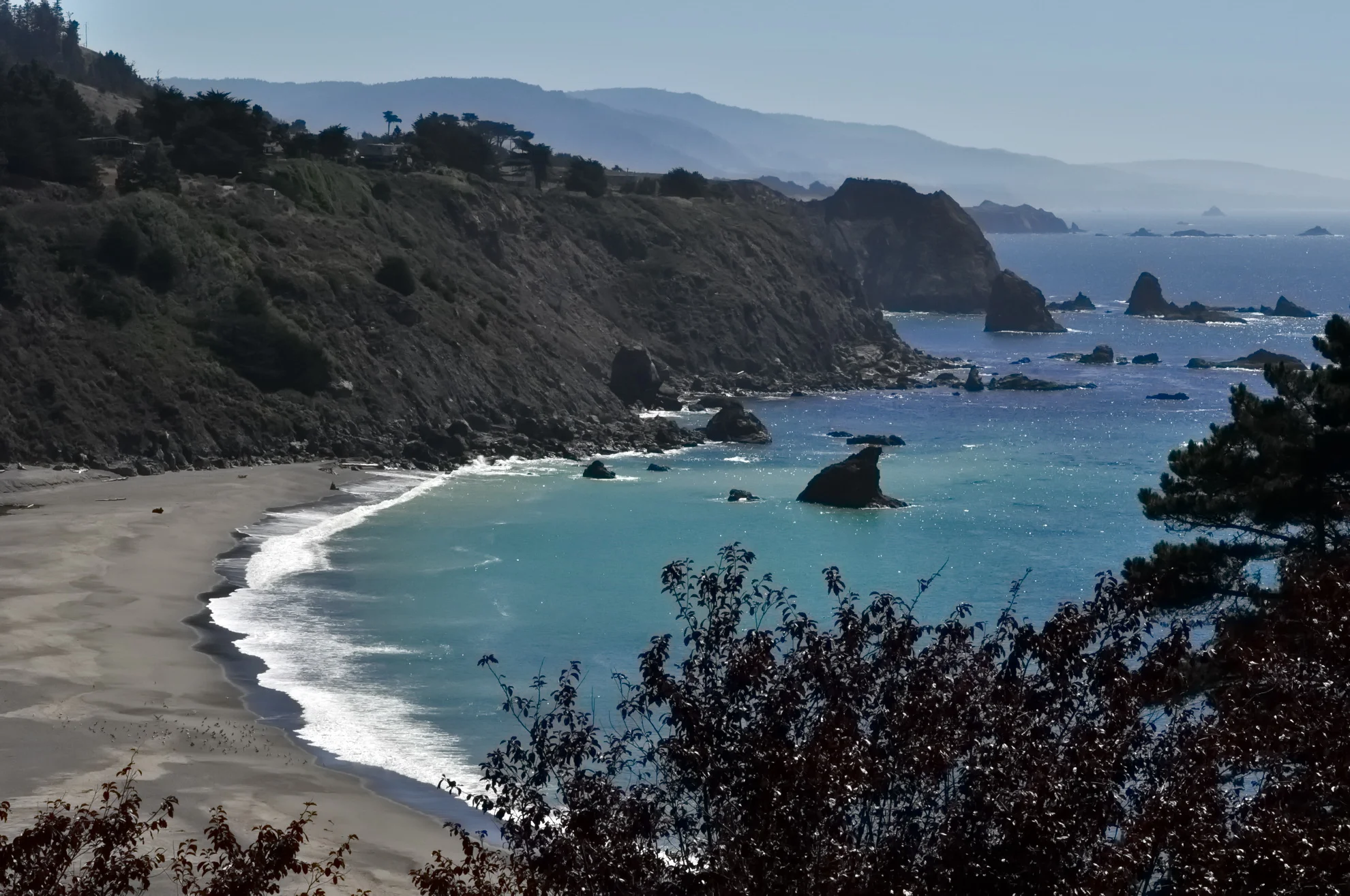DSC_2803Res.JPG
