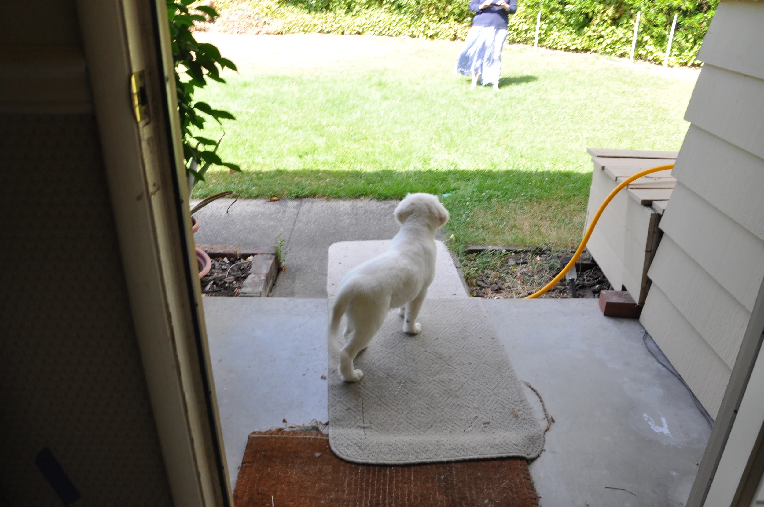 DSC_6565.JPG