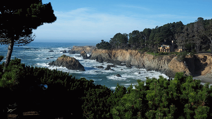P0001203-MOTION.gif