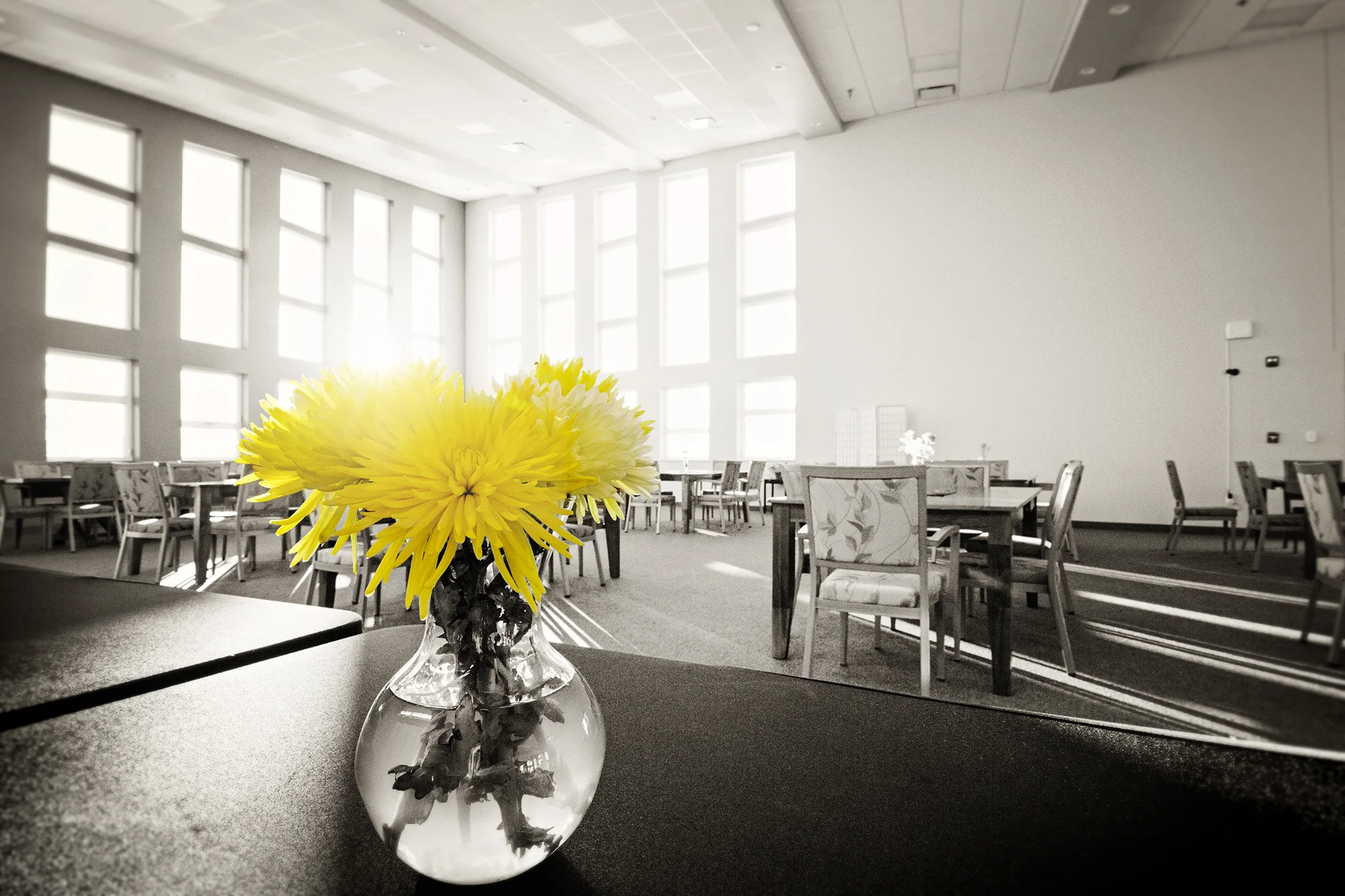 Business Photography