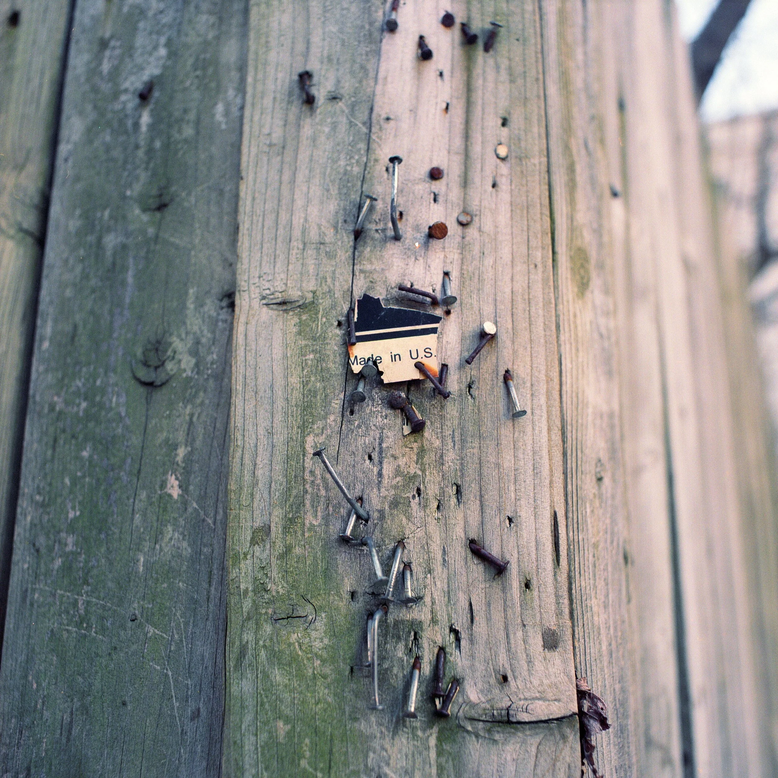 Zine (209)edit.jpg