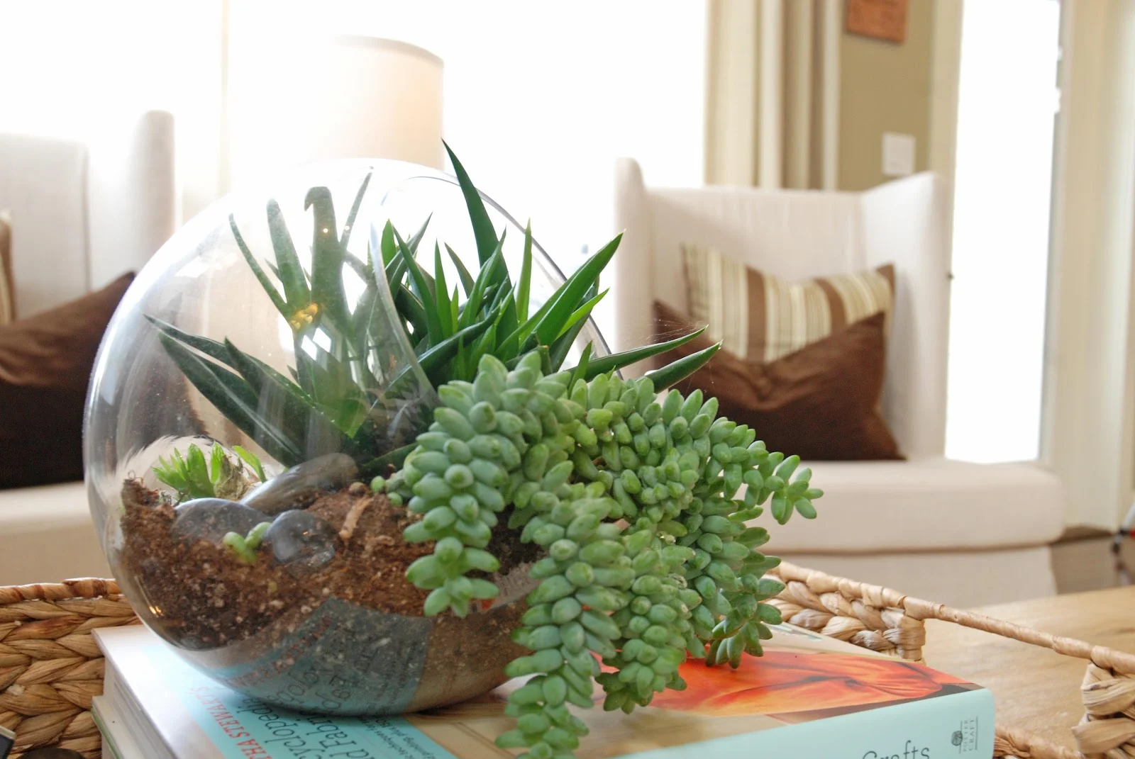 Terrarium 2.jpg