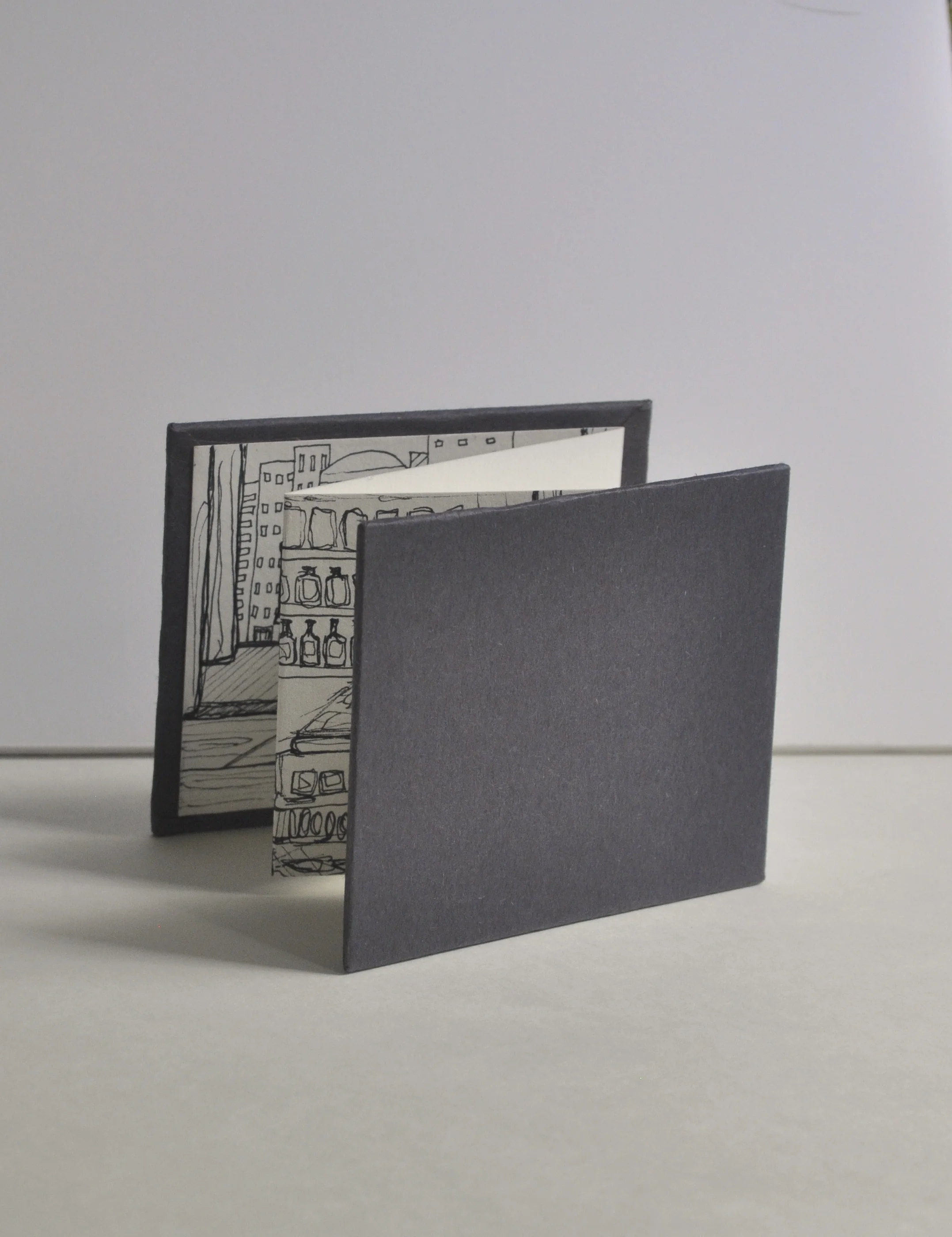   Chicago,&nbsp;  2013,&nbsp;  Artist book with ink drawing,&nbsp;  4in. x 15in.&nbsp;     