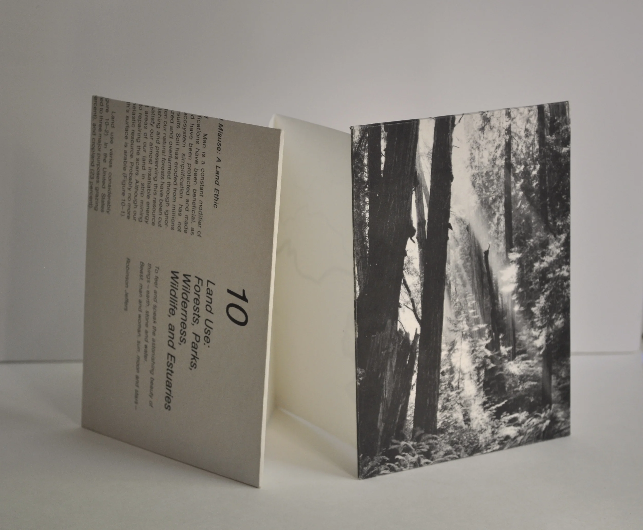   “And when I was sneaking out of the house…”,&nbsp;  2013,&nbsp;  Artist book with ink drawing, textbook page cover,&nbsp;  6in. x 15.5in.&nbsp;     