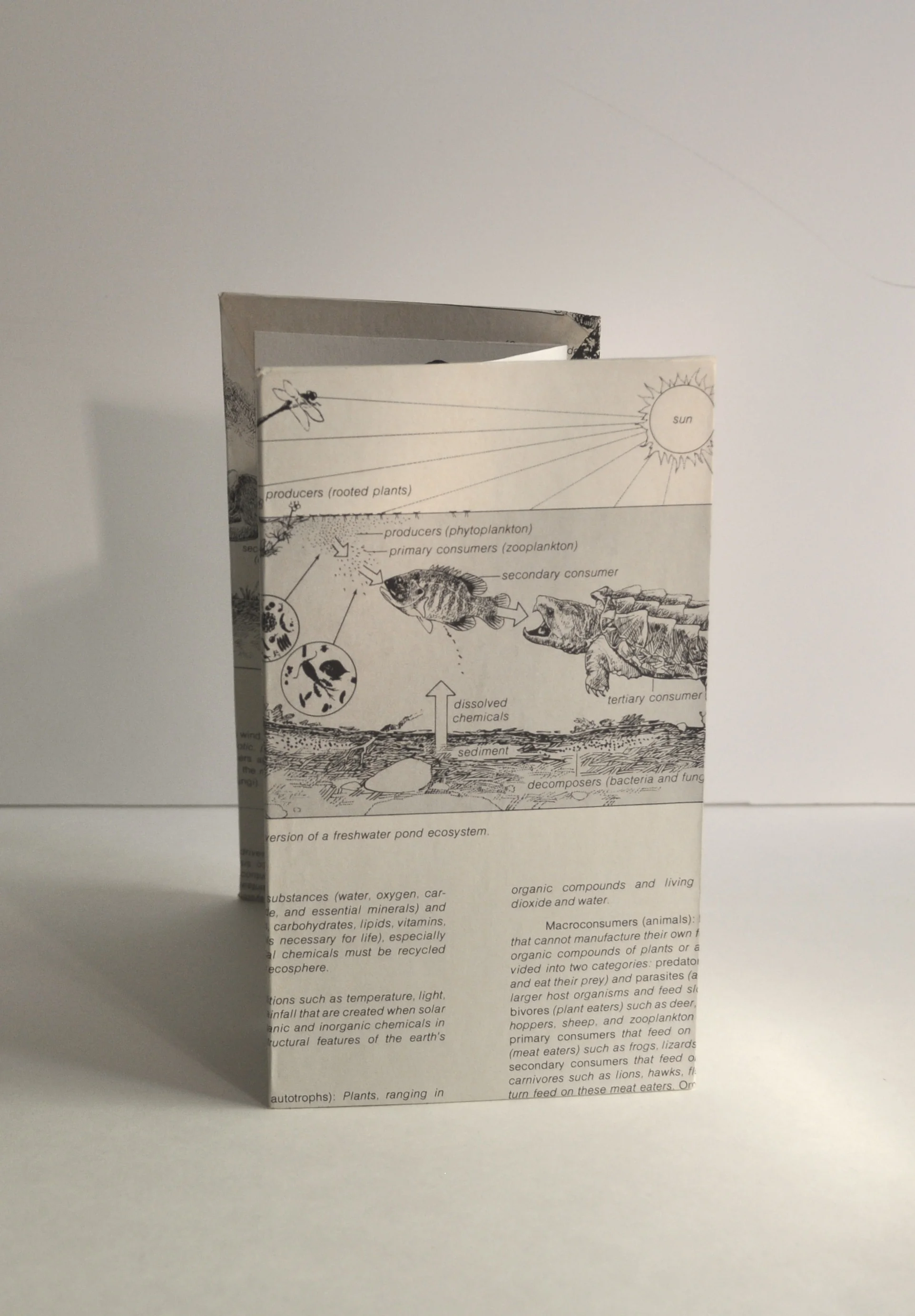    Mr. Cezanne’s Disdain    2013,&nbsp;Artist book with ink drawing, textbook page cover,&nbsp;7.5in. x 15.75in. 