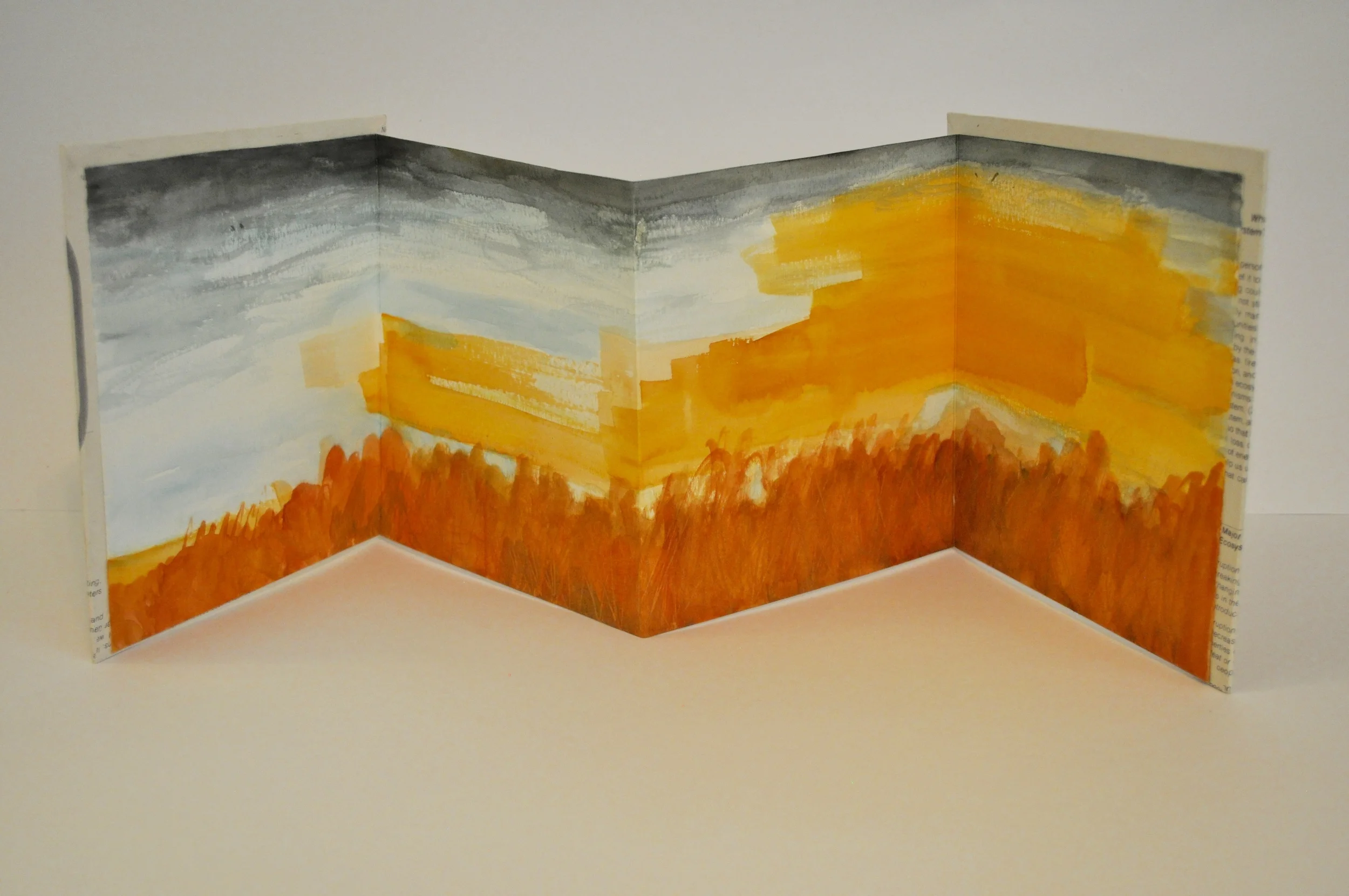    A Moment With Future Significance To Be Determined     2015, Artist Book with watercolor and textbook page cover. 7in. x 25in.&nbsp; 