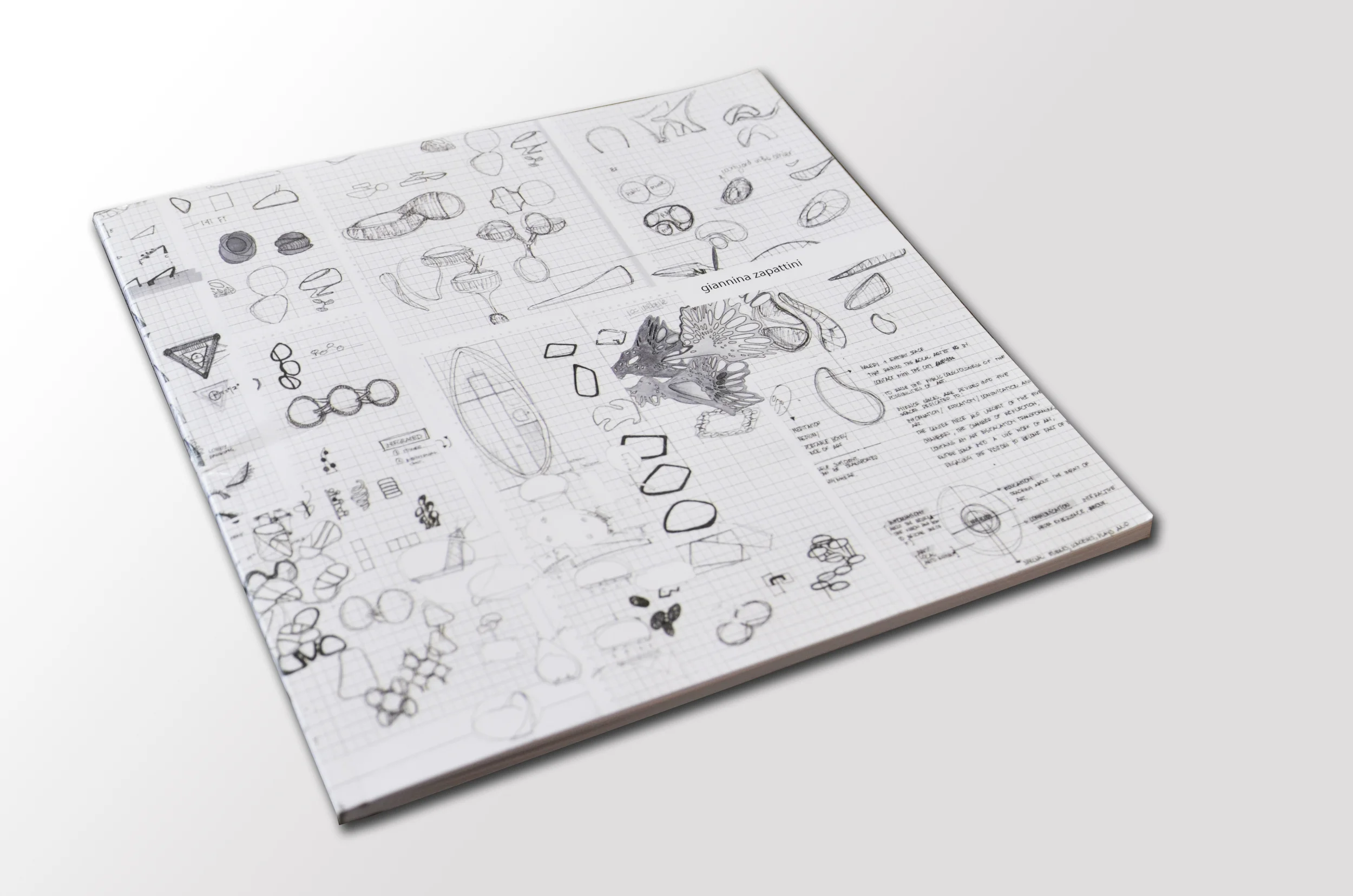 book cover_white.jpg