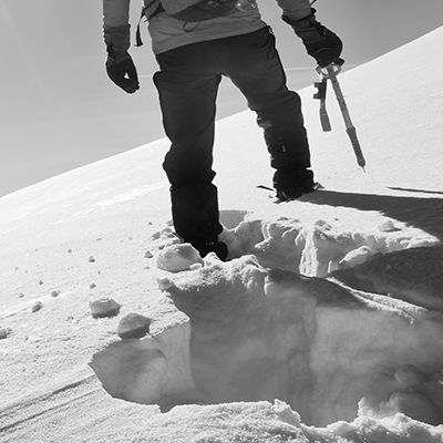 Sladen Snippet - Strategies for Estate Planning and Asset Protection Following New High Court Decision