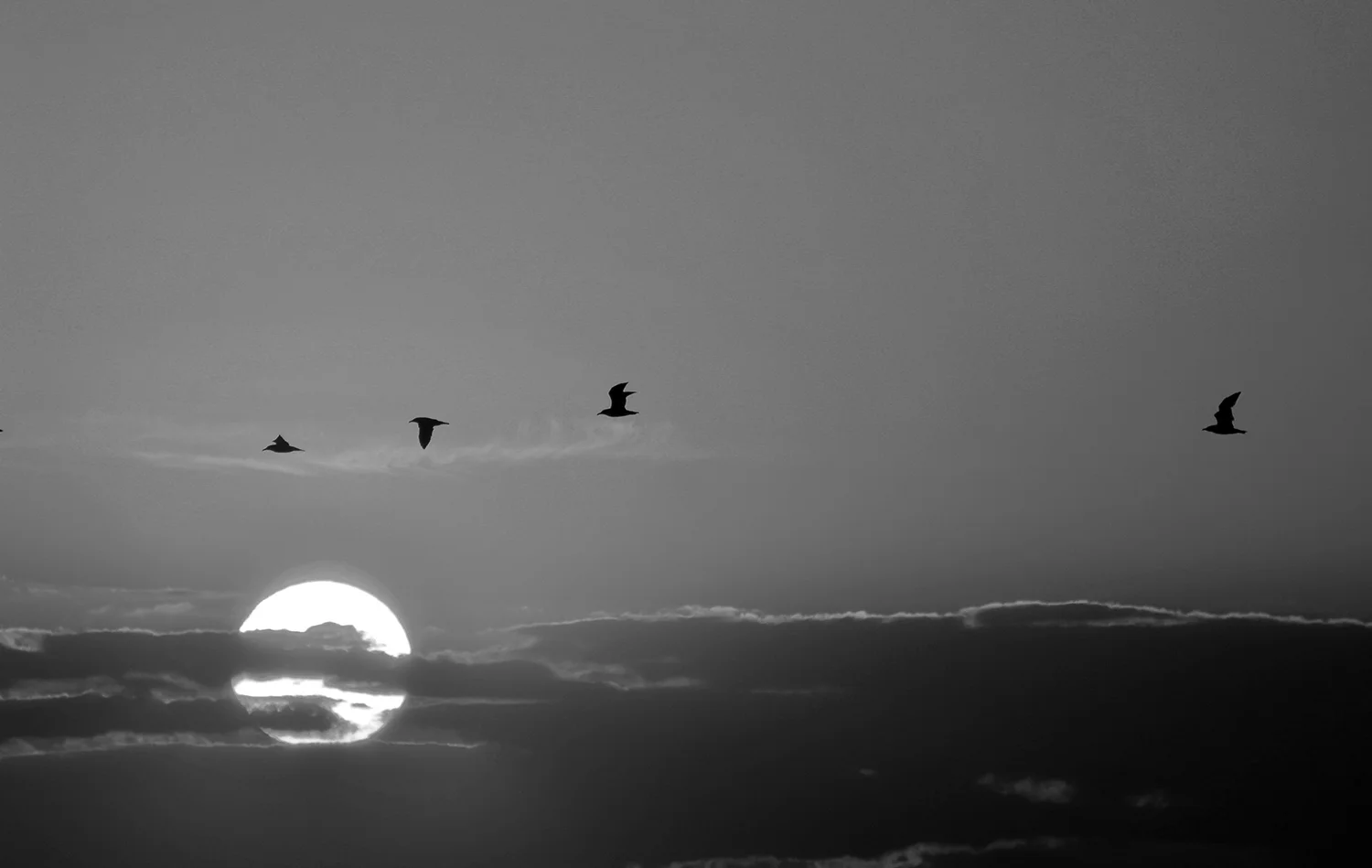 Estate Planning and the Modern Family