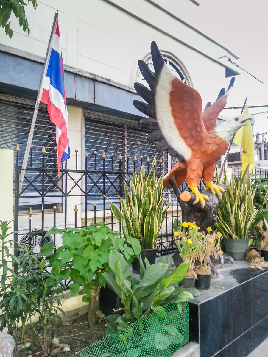 An Eagle and a Flag